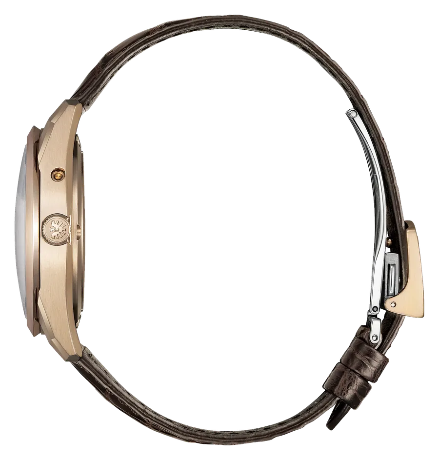 Citizen The CITIZEN AQ4106-00A — profile
